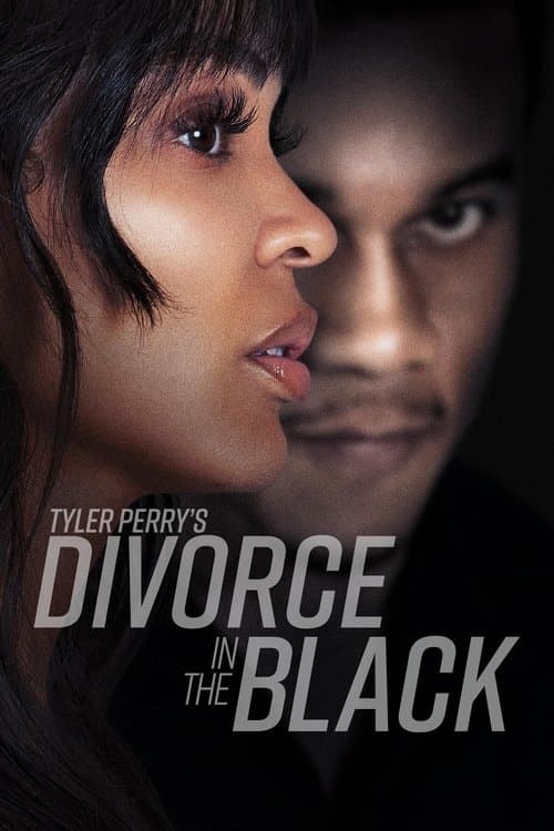 Tyler Perry's Divorce in the Black — poster