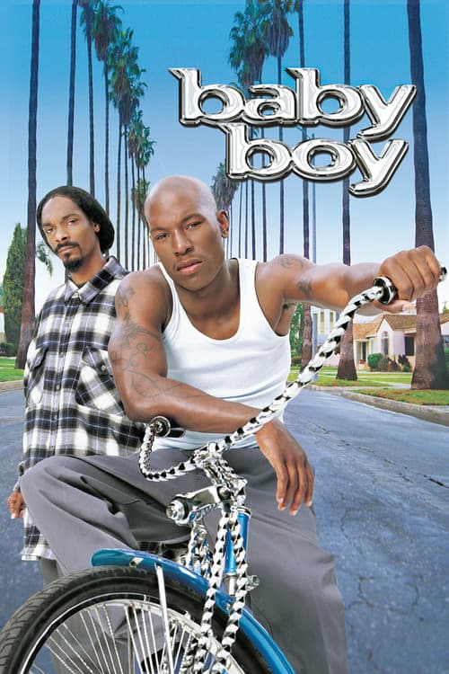 Baby Boy — poster