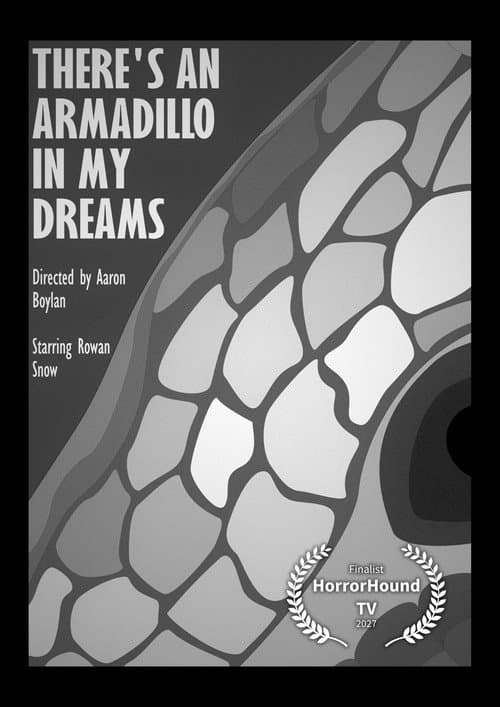 There's An Armadillo In My Dreams — poster