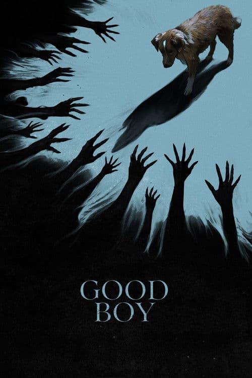 Good Boy — poster