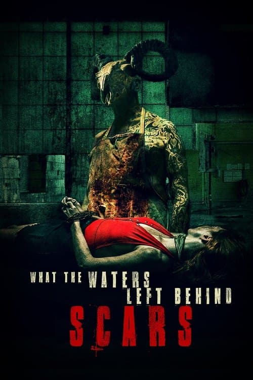 What the Waters Left Behind: Scars — poster
