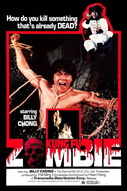 Kung Fu Zombie — poster