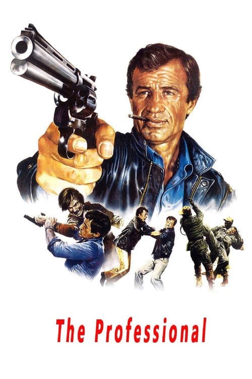 The Professional — poster
