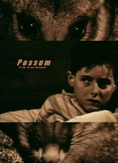 Possum — poster