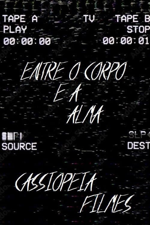 The last VHS — poster
