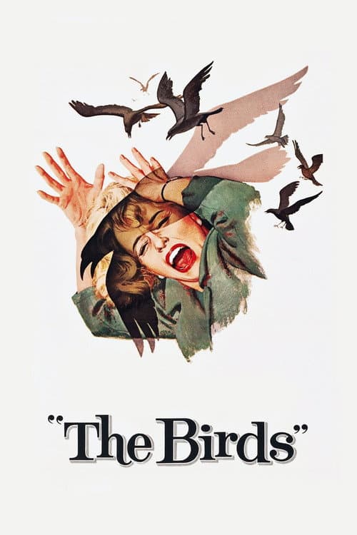 The Birds — poster