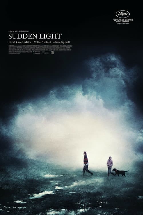 Sudden Light — poster