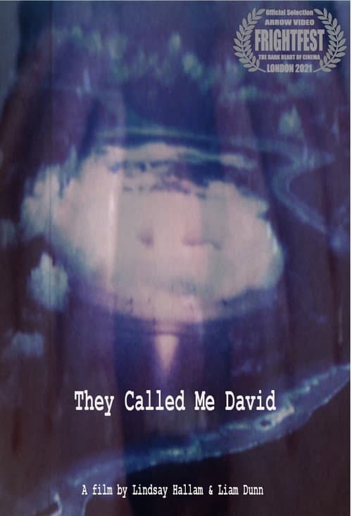 They Called Me David — poster