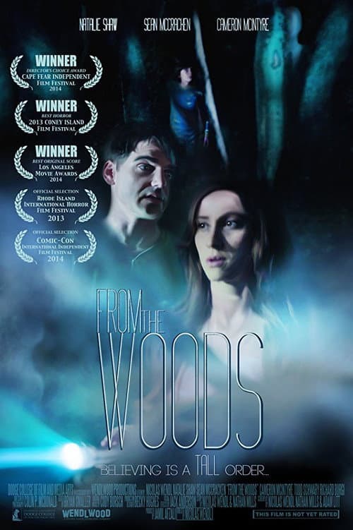 From The Woods — poster