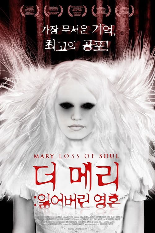 Mary Loss of Soul — poster