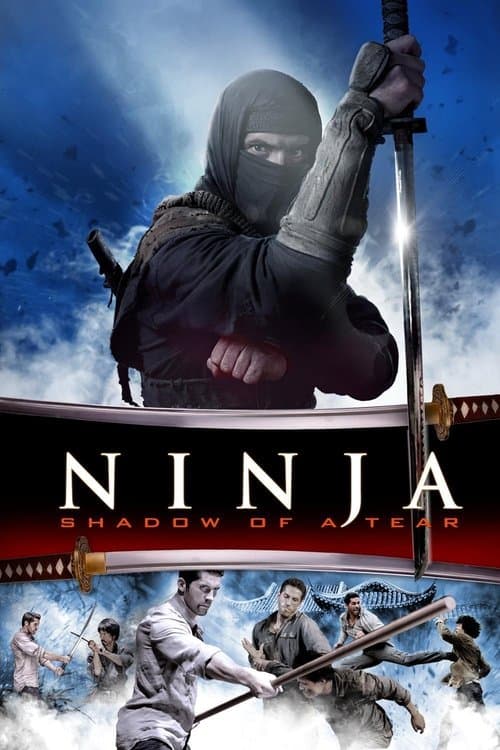 Ninja: Shadow of a Tear — poster