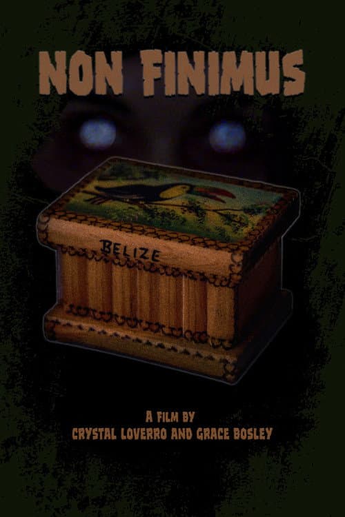 Non Finimus — poster