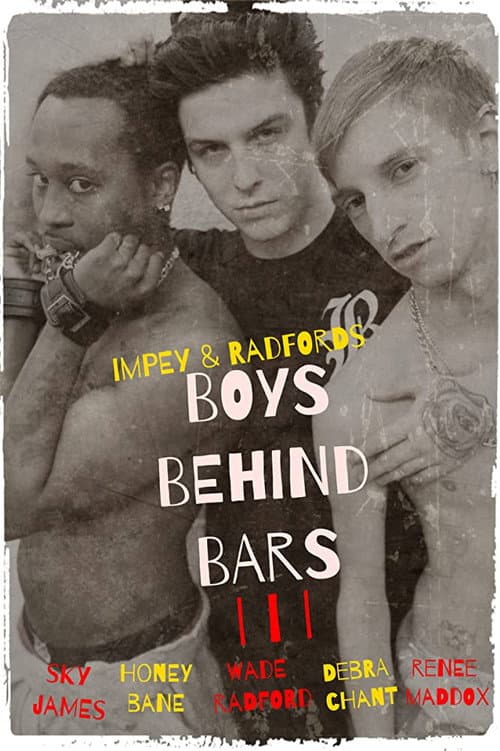 Boys Behind Bars 3 — poster