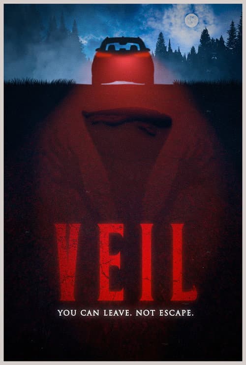 VEIL — poster