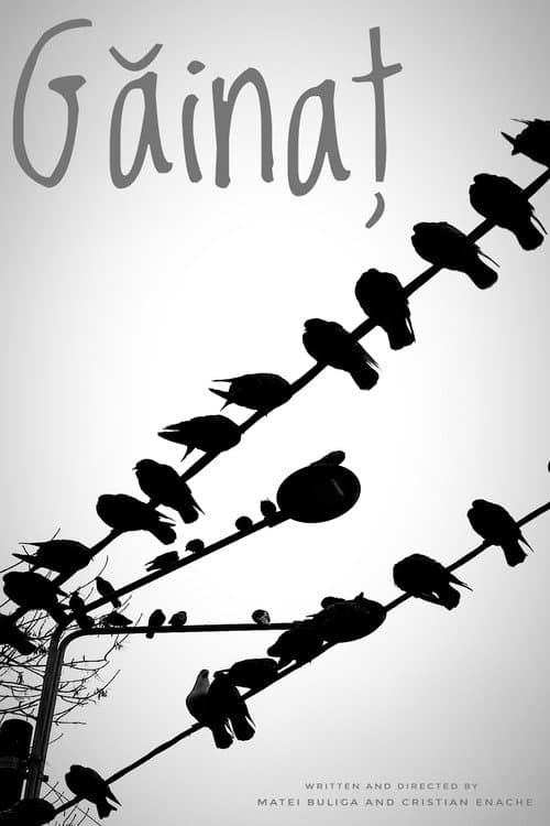 Guano — poster