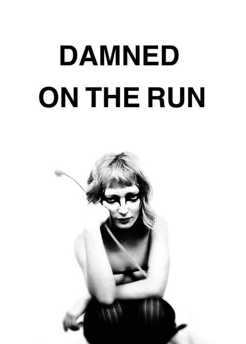 Damned on the run — poster