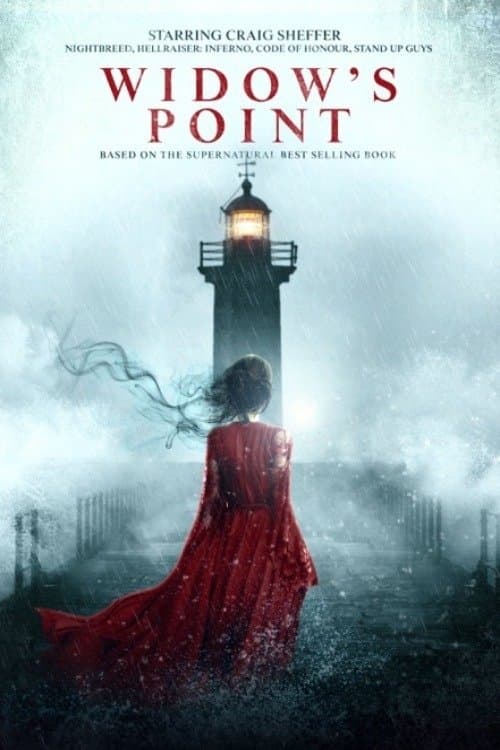 Widow's Point — poster