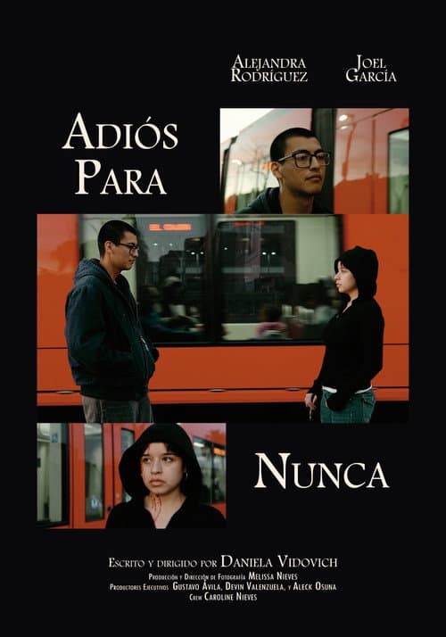 Adiós Para Nunca — poster