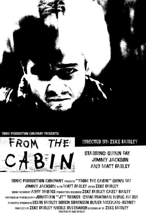 From The Cabin — poster