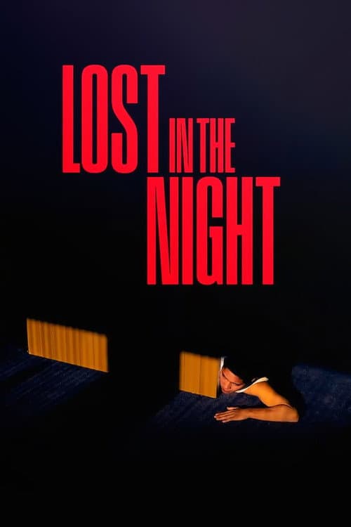 Lost in the Night — poster