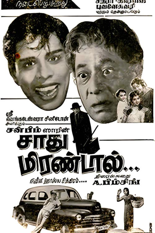 Sadhu Mirandal — poster