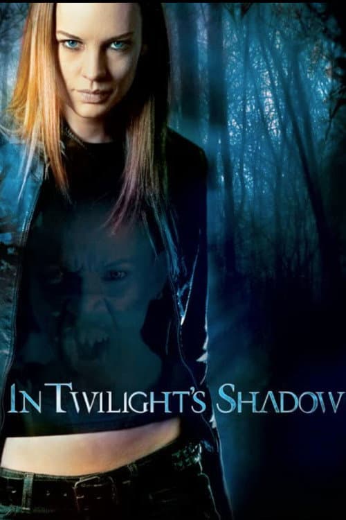In Twilight's Shadow — poster