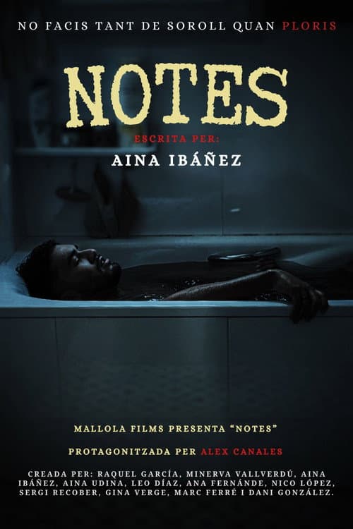 Notes — poster