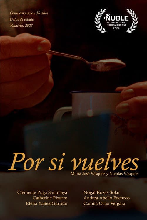 Por si vuelves... — poster