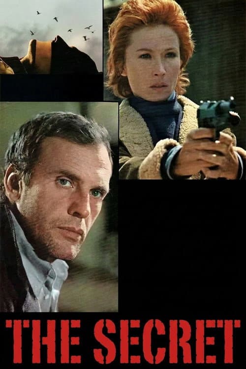 The Secret — poster