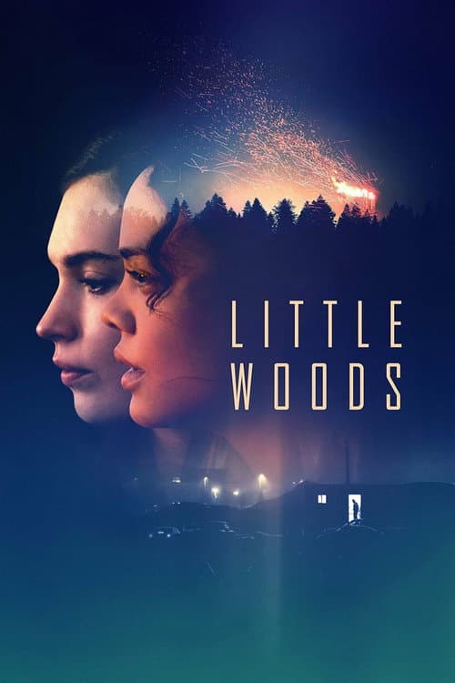 Little Woods — poster