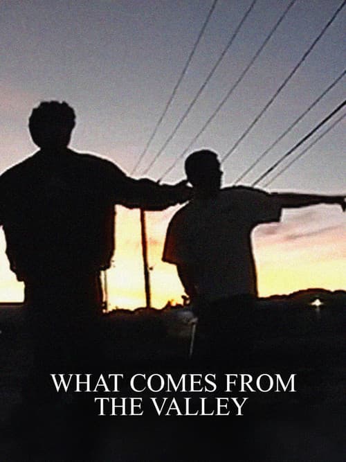 What Comes from the Valley — poster