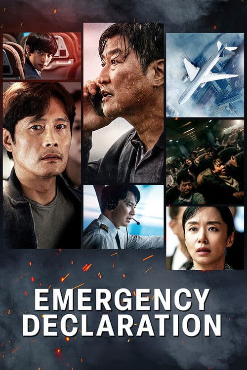 Emergency Declaration — poster