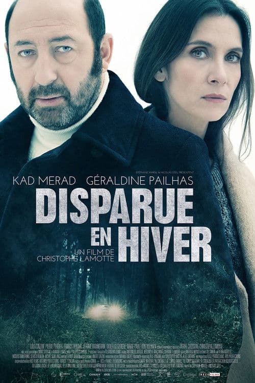 Disappeared in Winter — poster