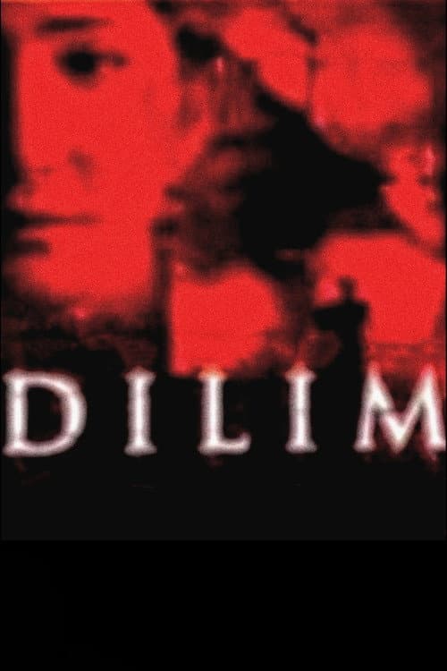 Dilim — poster