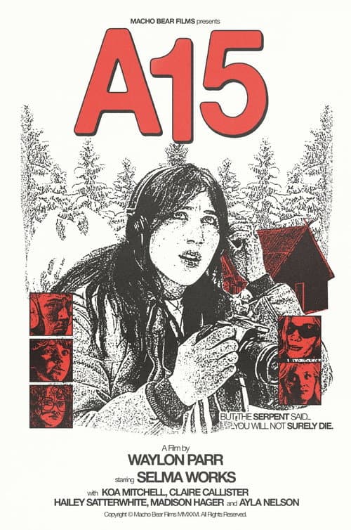 A15 — poster