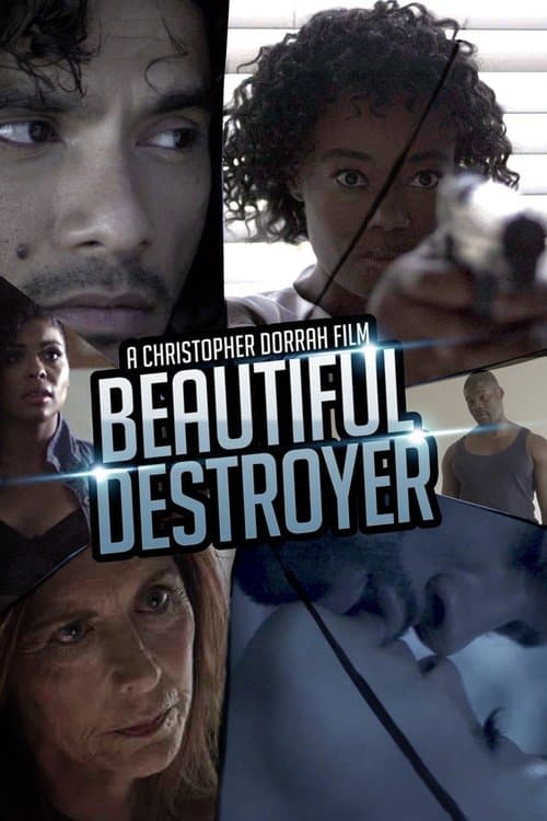Beautiful Destroyer — poster