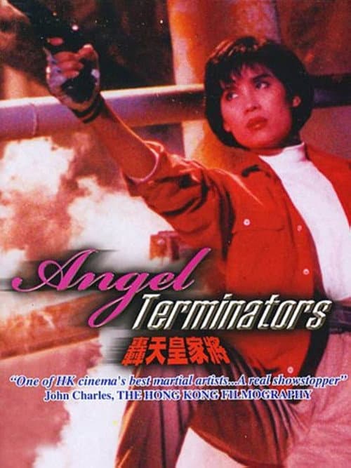 Angel Terminators — poster