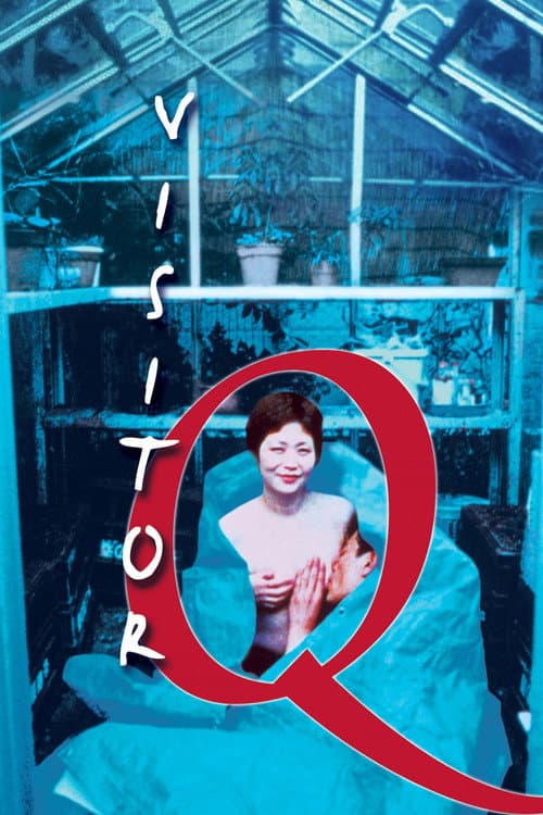 Visitor Q — poster