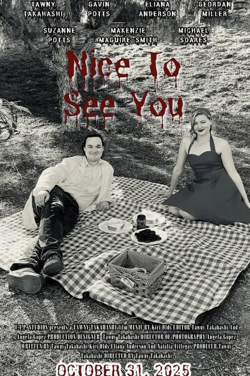 Nice to See You — poster