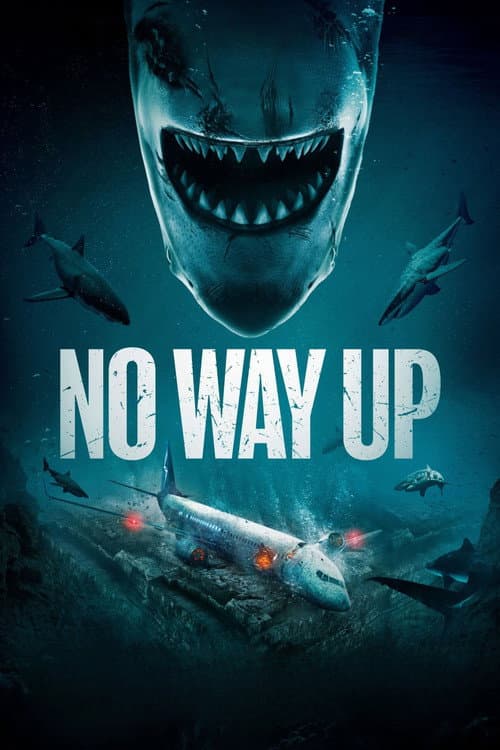No Way Up — poster