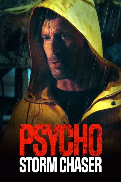 Psycho Storm Chaser — poster