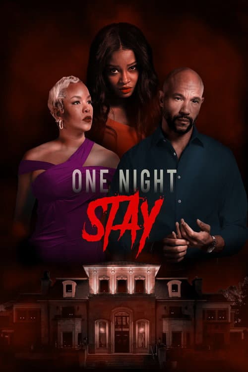One Night Stay — poster