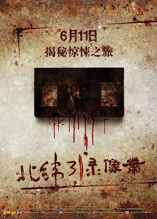Video Cassette of 31 Degrees North Latitude — poster