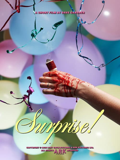Surprise! — poster