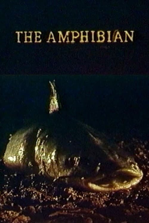 The Amphibian — poster
