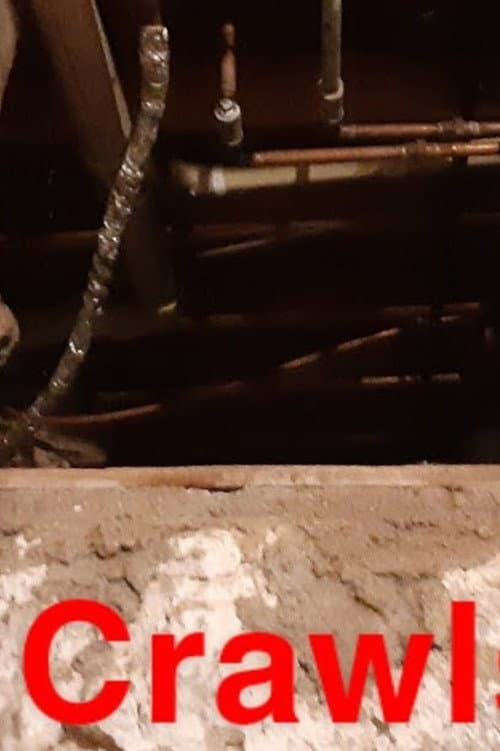 The Crawlspace — poster