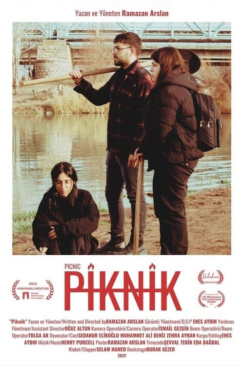 Picnic — poster