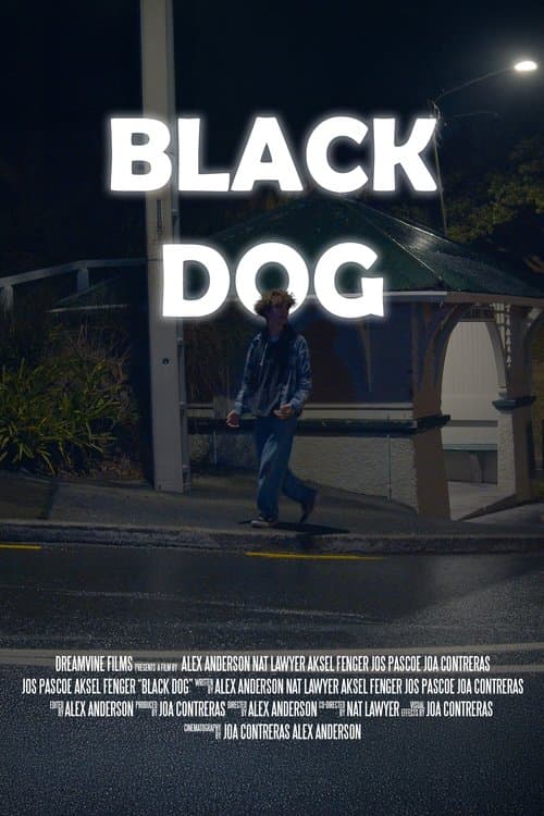 Black Dog — poster