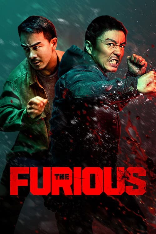 The Furious — poster