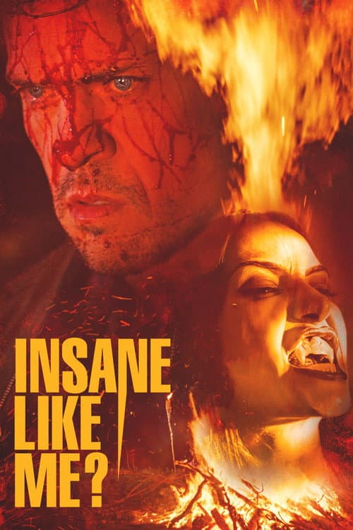 Insane Like Me? — poster